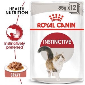 Feline Health Nutrition Indoor